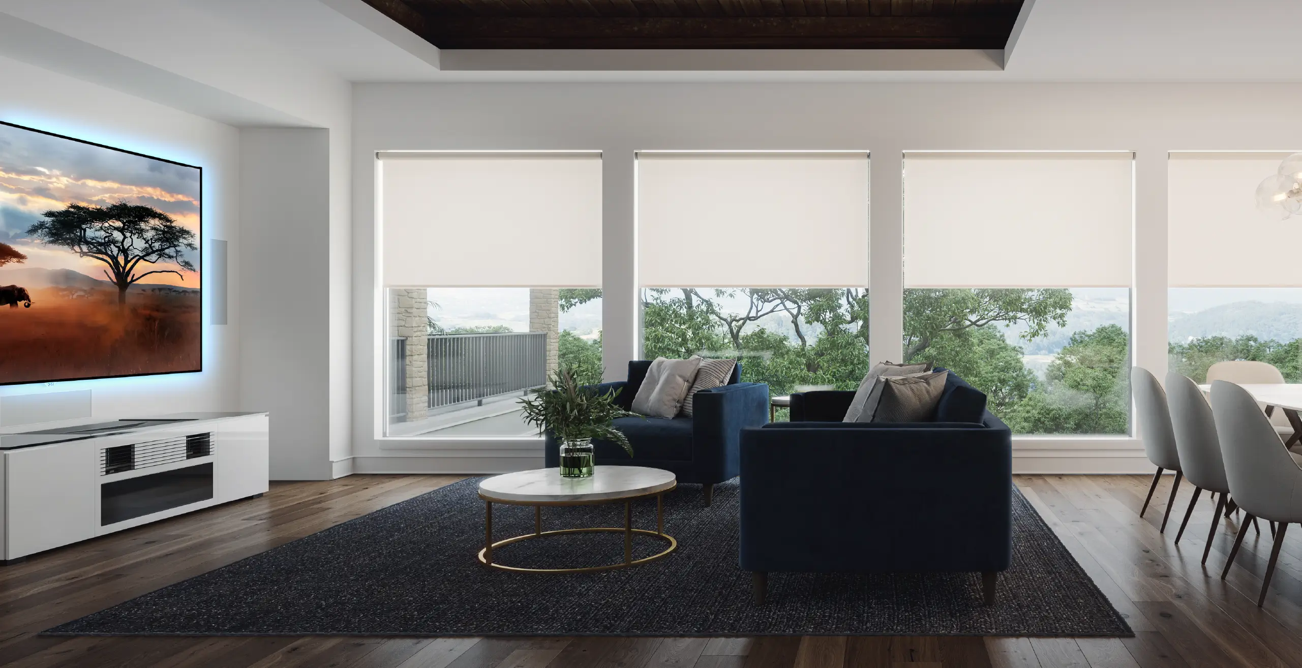 Multi-room home audio and motorized shades in a modern living room